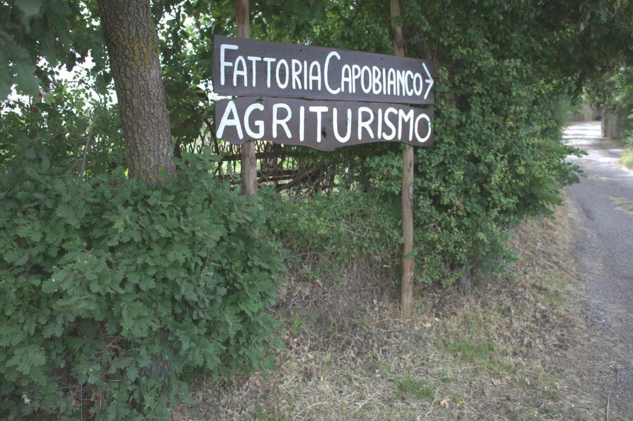 Fattoria Capobianco *