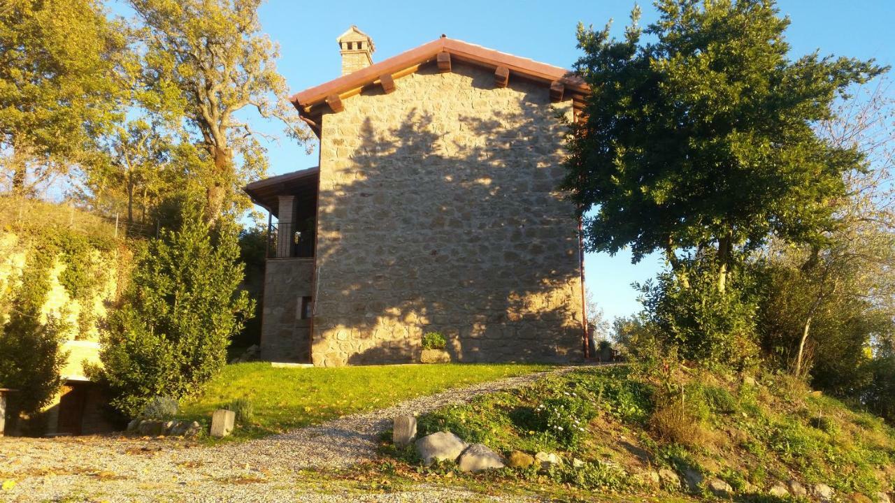 Fattoria Capobianco * Montefiascone
