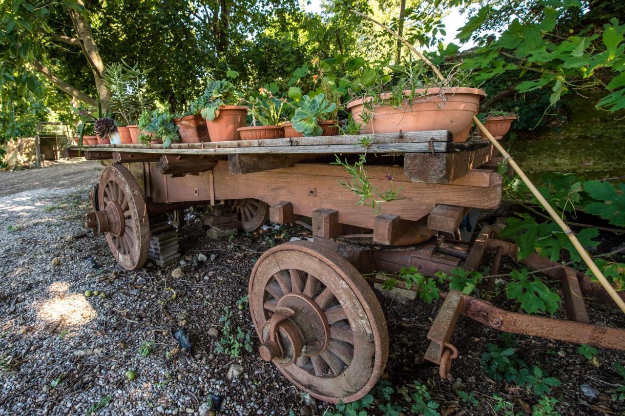 Farm stay Fattoria Capobianco